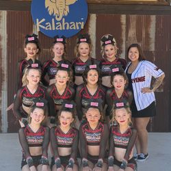 Cheervenge