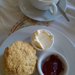 T Shop - Fresh from the oven, plain or raisin options for scones