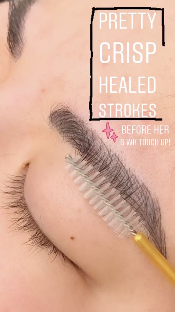 SHEAR BROW BABES 22 Photos & 43 Reviews 25973 US Hwy 19 N, Clearwater, FL Yelp