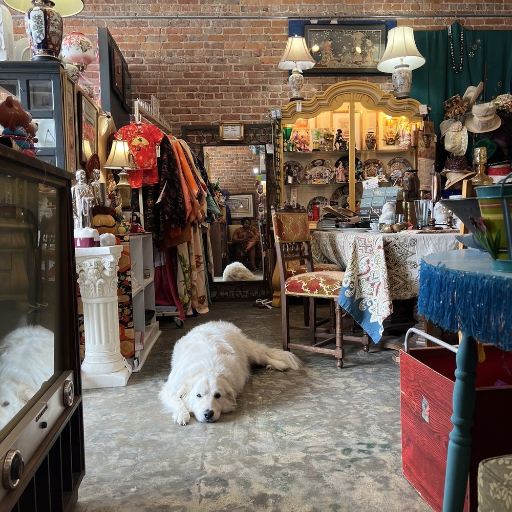 Charlie's Funky Junk Shop - Their dog Rose is a gem. - Antiques Near Me - Statesboro, Georgia Charlie's Funky Junk Shop - Their dog Rose is a gem. - Antiques Near Me - Statesboro, Georgia