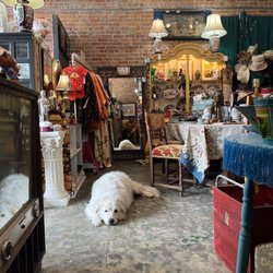 Charlie's Funky Junk Shop - Their dog Rose is a gem.