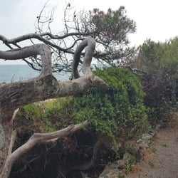 Cap D'Antibes