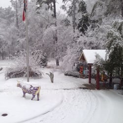 Ronald McDonald House - RMH-CH in the snow.