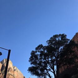 Zion Canyon Scenic Drive - Zion Canyon Scenic Drive