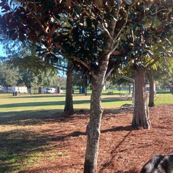 Foley Dog Park - More big dog park - Dog Parks Near Me - Foley, Alabama