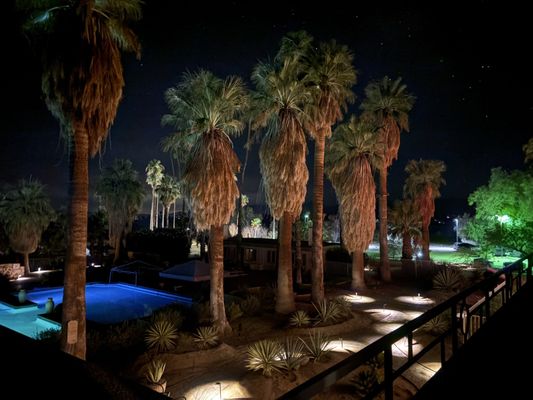The Palms at Indian Head by null