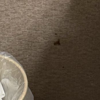 Wingate by Wyndham St. George - Strange brown stain near the edge of the toilet and trash. - Hotels Near Me - Saint George, Utah Wingate by Wyndham St. George - Strange brown stain near the edge of the toilet and trash. - Hotels Near Me - Saint George, Utah