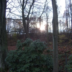 Halloberg - Der Halloberg vom Hallofriedhof aus gesehen.