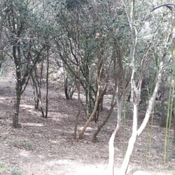Parc du Mugel
