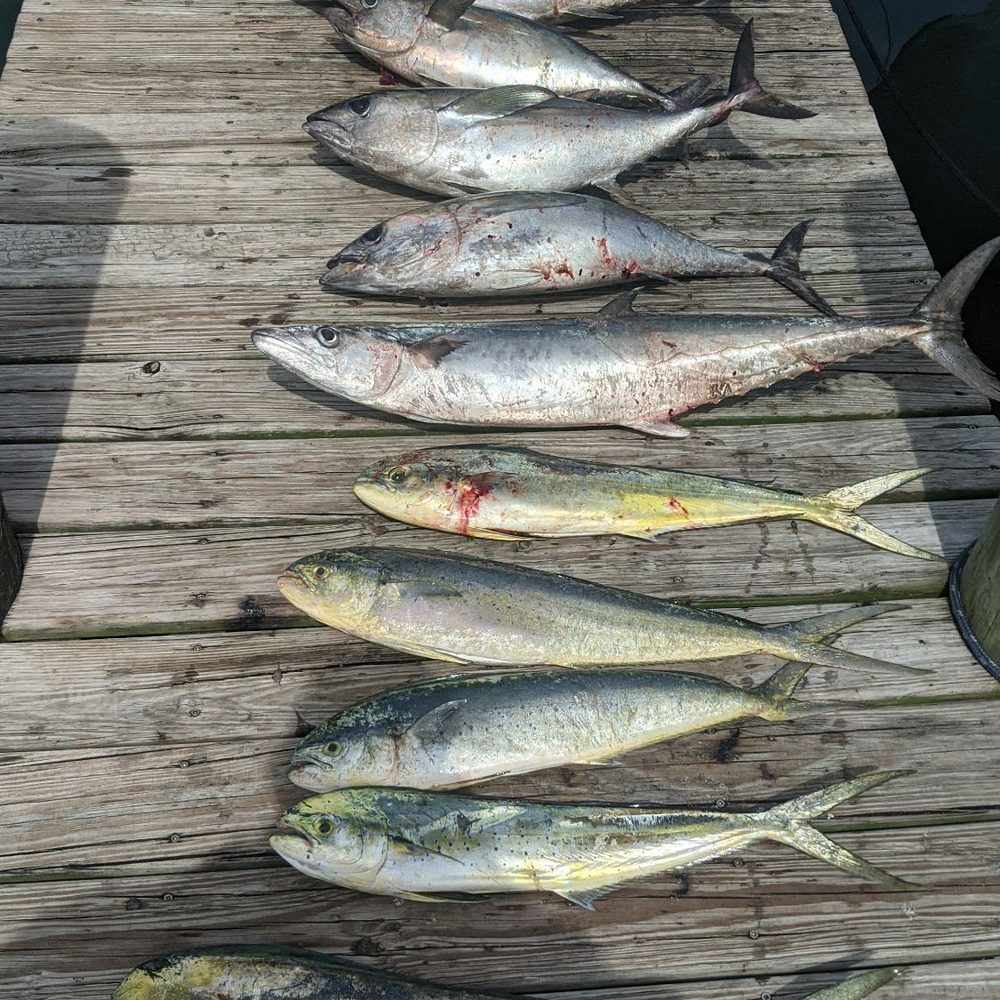 Double D Charters - Same - Fishing Near Me - North Miami, Florida Double D Charters - Same - Fishing Near Me - North Miami, Florida