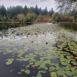 Camp Lakeview