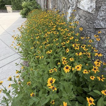 Holliday Park - In bloom - Parks Near Me - Indianapolis, Indiana