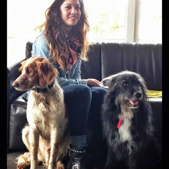 Lille aux Animaux - Dog Walkers Near Me - Lille, 59 Lille aux Animaux - Dog Walkers Near Me - Lille, 59