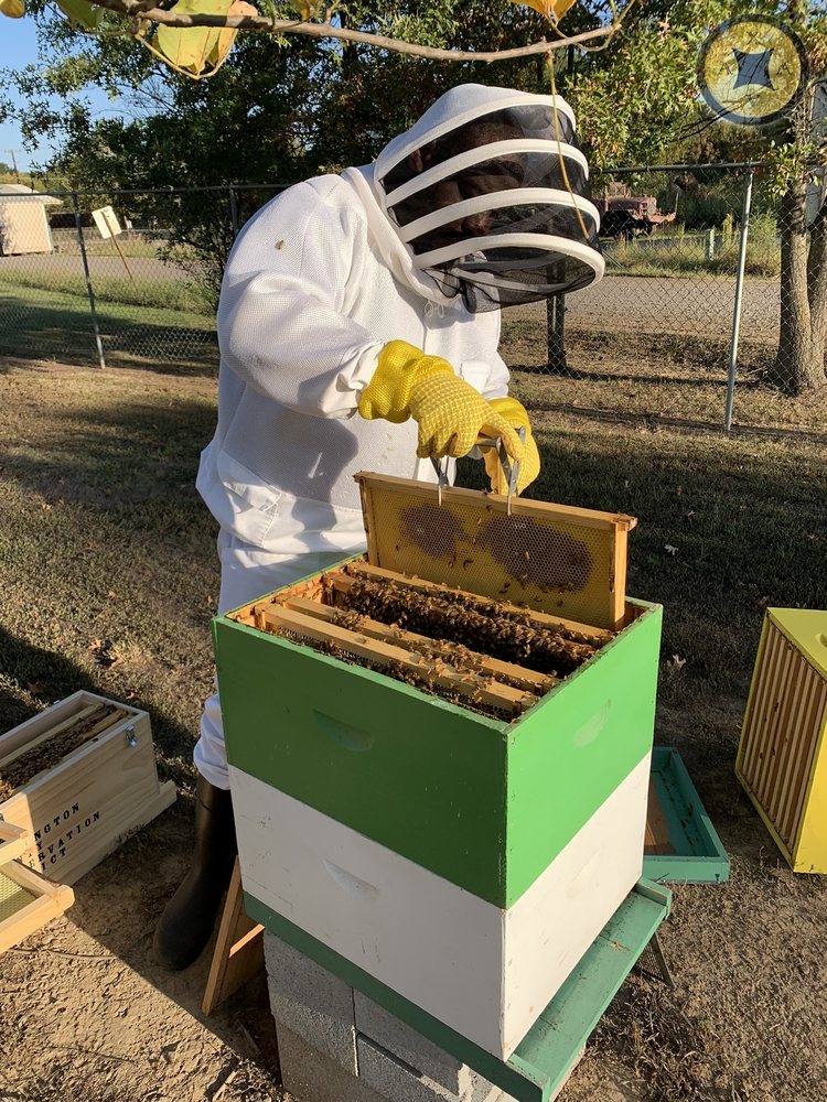 Xavier Apiary & Agricultural Ventures - beekeeping in Fort Smith, AR