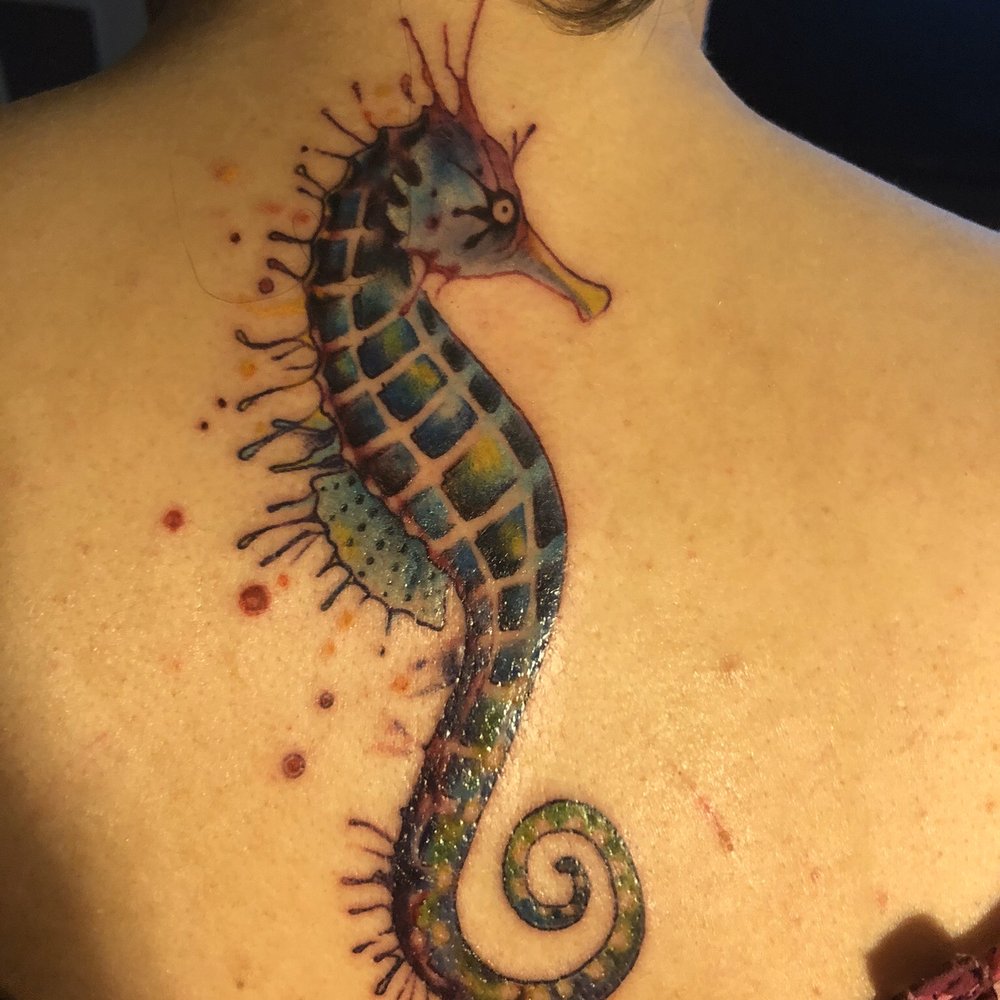 My newest addition! My newest addition!