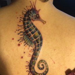 My newest addition!