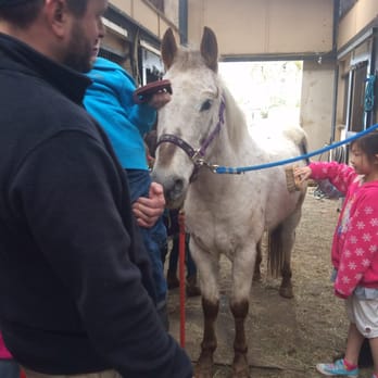 Seattle Pony Party - Huge hit! - Party & Event Planning Near Me - Snohomish, Washington Seattle Pony Party - Huge hit! - Party & Event Planning Near Me - Snohomish, Washington