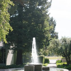 Downey Park Family Dentistry