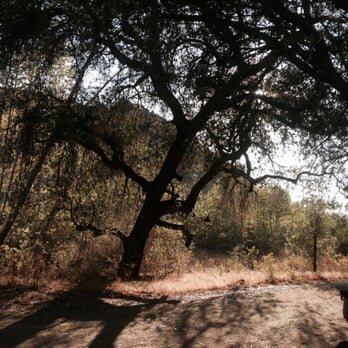 Mother Nature Walking Tours - Walking Tours Near Me Mother Nature Walking Tours - Walking Tours Near Me