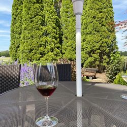 Roanoke Vineyards - Just sitting
