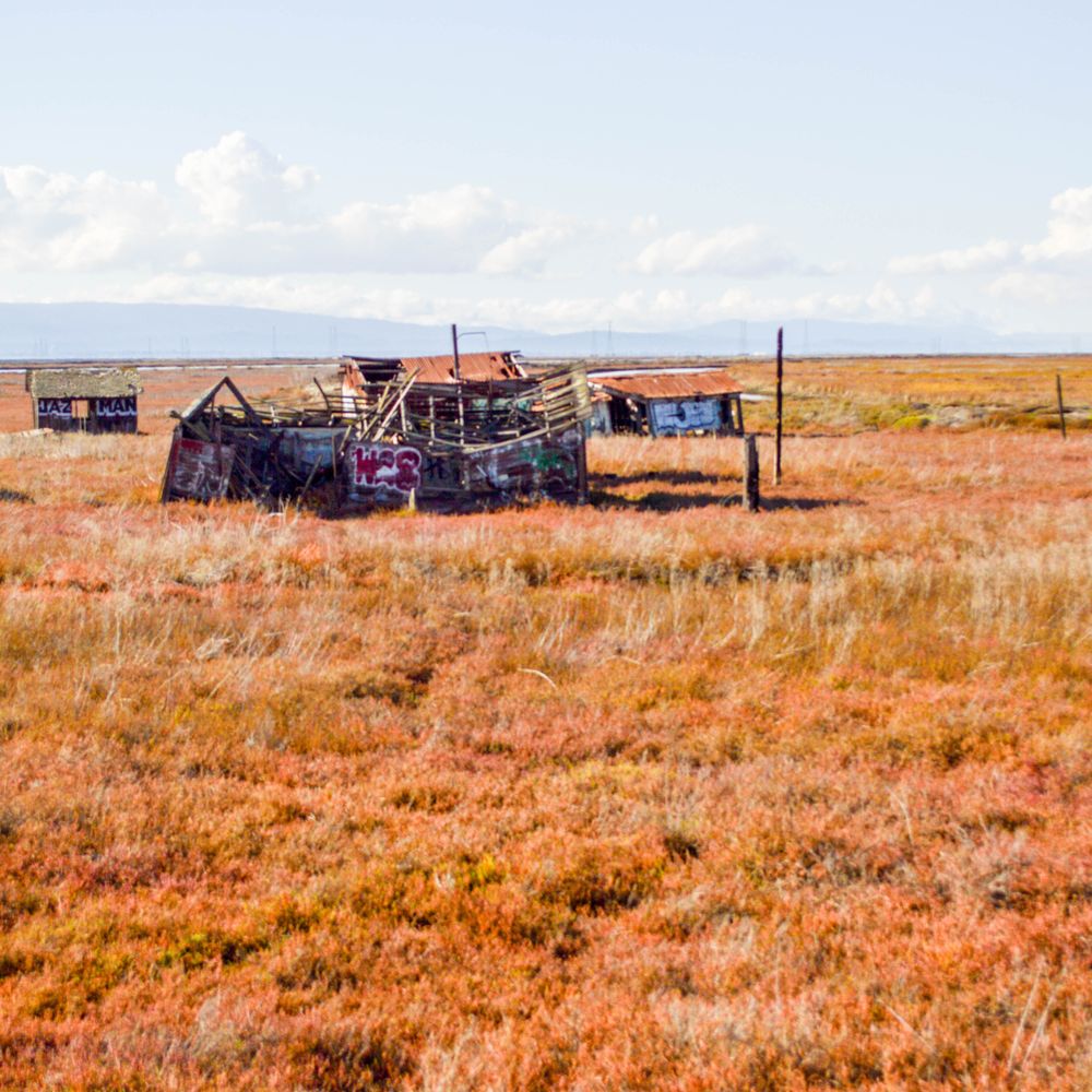 TOP 10 BEST Local Flavor near Union City, CA 94587 - Updated 2026 - Yelp