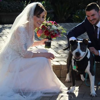 Sunol's Casa Bella - They are a dog friendly venue! The best part, we got to include our best boy in the wedding. - Venues & Event Spaces Near Me - Sunol, California Sunol's Casa Bella - They are a dog friendly venue! The best part, we got to include our best boy in the wedding. - Venues & Event Spaces Near Me - Sunol, California