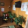 Photo of Grand Sun  Massage
