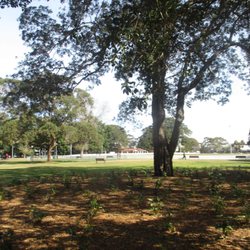 Alexandria Park - Park