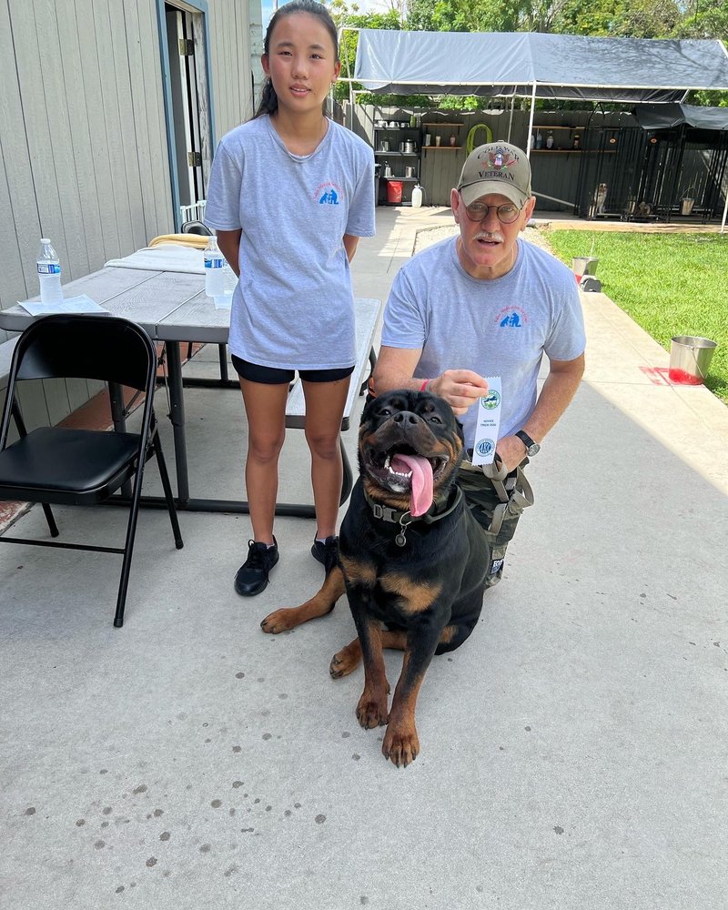 VALOR MEDICAL SERVICE DOGS Updated August 2024 26 Photos 2036 Lakeview Ave, Chuluota