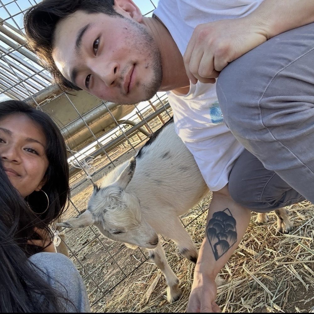 Back-to-Eden Ranch - Quality time with this cute baby goat ! - Attraction Farms Near Me - Gilroy, California Back-to-Eden Ranch - Quality time with this cute baby goat ! - Attraction Farms Near Me - Gilroy, California