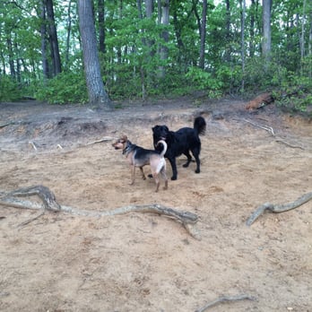Timber Creek Park - Arriving at the lake - Dog Parks Near Me - Gloucester Township, New Jersey Timber Creek Park - Arriving at the lake - Dog Parks Near Me - Gloucester Township, New Jersey