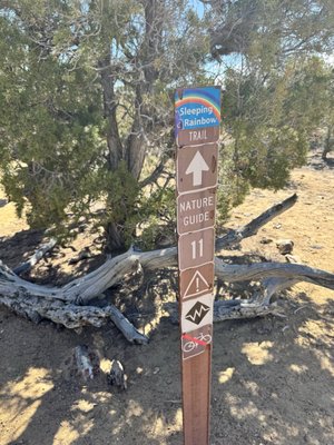 Escalante Petrified Forest State Park by null
