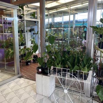 Emerald City Orchids - Nurseries & Gardening Near Me - Tacoma, Washington Emerald City Orchids - Nurseries & Gardening Near Me - Tacoma, Washington