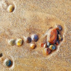 Nairn Beaches