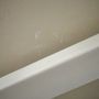 Photo of Whitecloud Pressure Washing And Painting