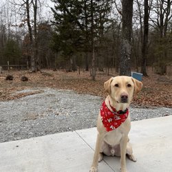 Grand Groomers