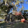 Photo of Vallejo Family Land Services