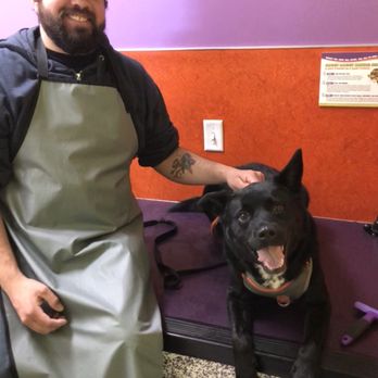 Wag N' Wash Natural Pet Food & Grooming - Pet Groomers Near Me - Aurora, Colorado