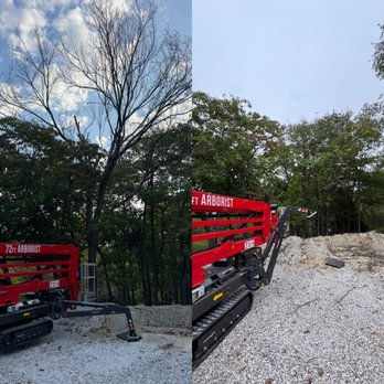 Fields Tree Service - Tree Services Near Me - Fulton, Missouri