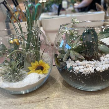 PlantHouse - Nurseries & Gardening Near Me - Richmond, Virginia