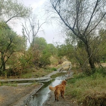 Marco Dog Park - Dog Parks Near Me - Roseville, California Marco Dog Park - Dog Parks Near Me - Roseville, California