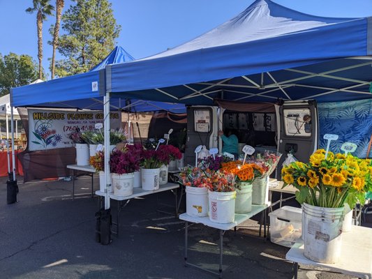 Galleria @ Tyler Farmers Market by null
