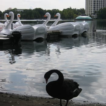 Lake Eola Park - Parks Near Me - Orlando, Florida