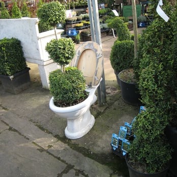 WALKERS NURSERIES - Updated September 2025 - 11 Photos - Mosham Road ...