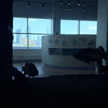 Liberty Science Center - You can see the Freedom Tower while looking at fish - Museums Near Me - Jersey City, New Jersey