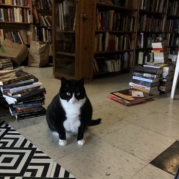 Twice Sold Tales - Beau :) - Bookstores Near Me - Seattle, Washington Twice Sold Tales - Beau :) - Bookstores Near Me - Seattle, Washington