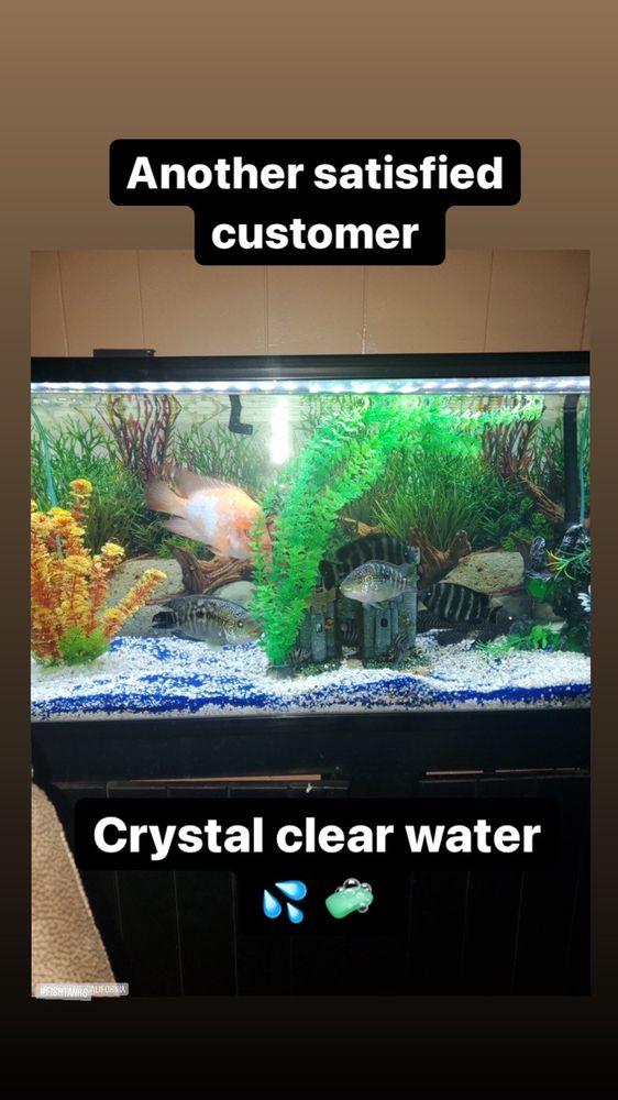 SANCHEZ AQUARIUMS Los Angeles, California Aquarium Services Phone