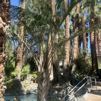 Two Bunch Palms - Resorts Near Me - Desert Hot Springs, California Two Bunch Palms - Resorts Near Me - Desert Hot Springs, California