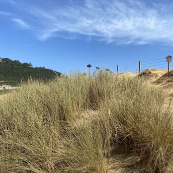 Cape Kiwanda State Natural Area - Beaches Near Me - Cloverdale, Oregon