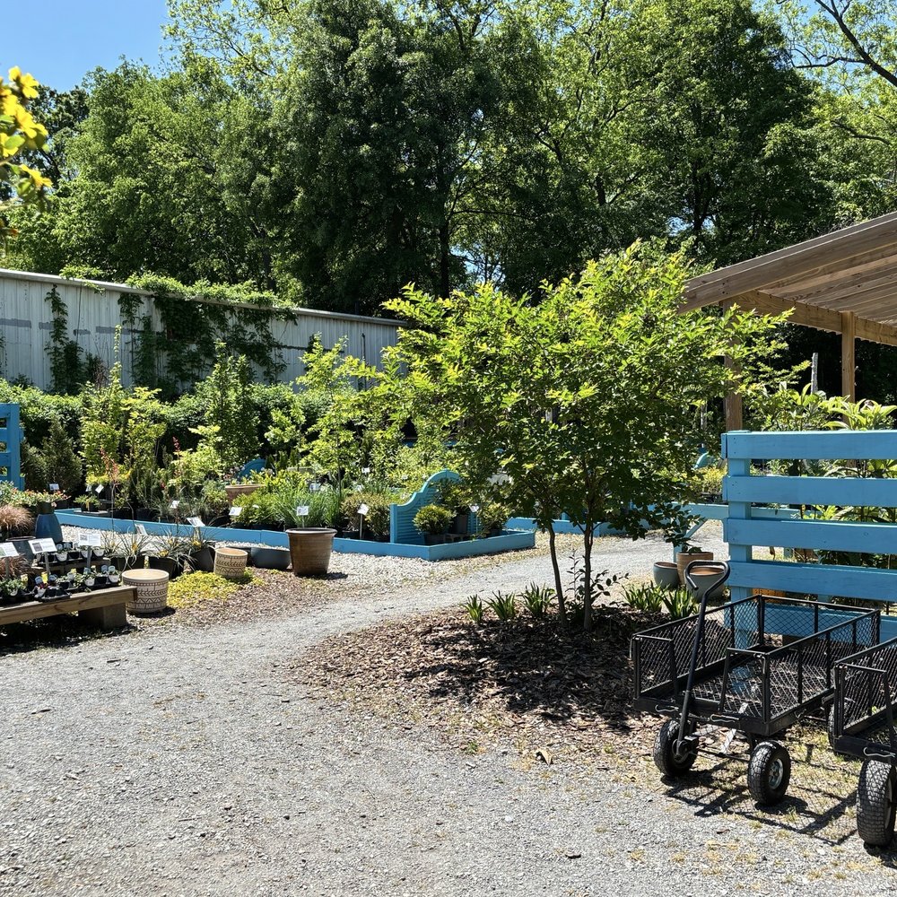 GardenHood - Trees and shrubs - Nurseries & Gardening Near Me - Atlanta, Georgia